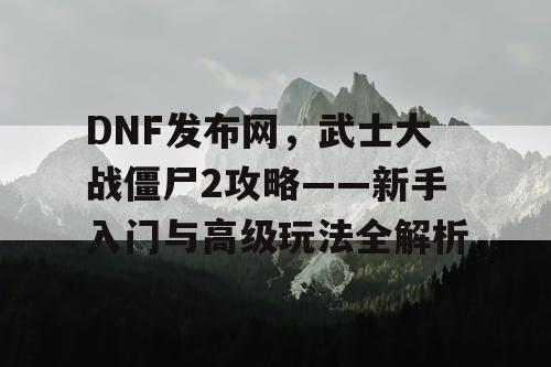 DNF发布网，武士大战僵尸2攻略——新手入门与高级玩法全解析