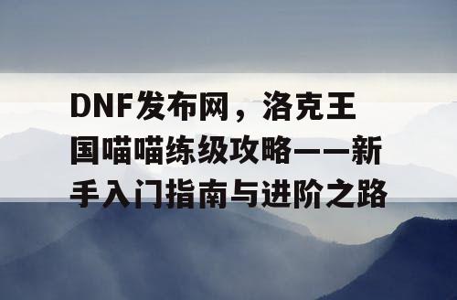 DNF发布网，洛克王国喵喵练级攻略——新手入门指南与进阶之路