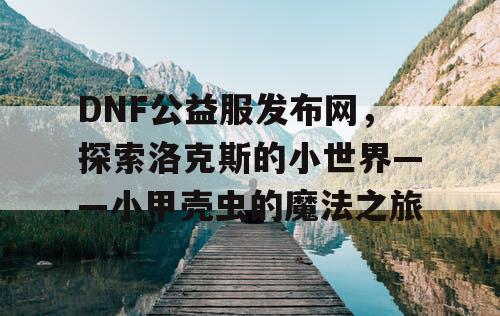 DNF公益服发布网，探索洛克斯的小世界——小甲壳虫的魔法之旅