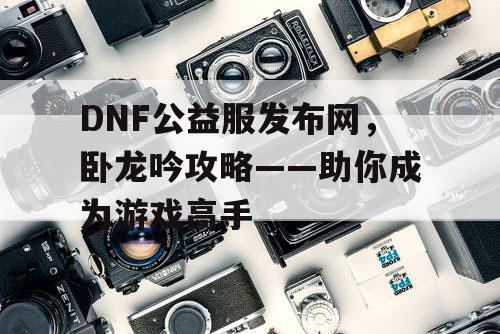 DNF公益服发布网，卧龙吟攻略——助你成为游戏高手