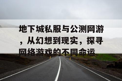 地下城私服与公测网游，从幻想到现实，探寻网络游戏的不同命运