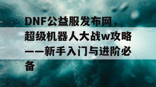 DNF公益服发布网，超级机器人大战w攻略——新手入门与进阶必备