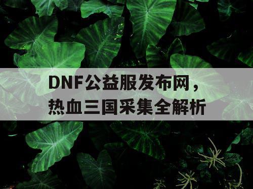 DNF公益服发布网，热血三国采集全解析