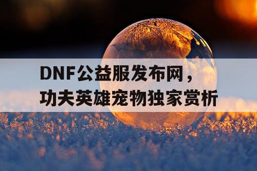 DNF公益服发布网，功夫英雄宠物独家赏析