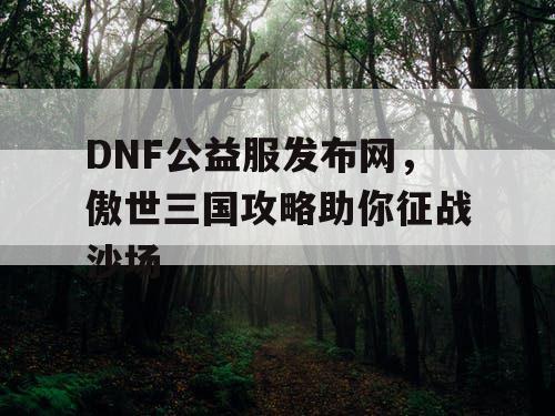 DNF公益服发布网，傲世三国攻略助你征战沙场